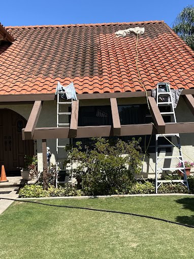 Roof Cleaning Services