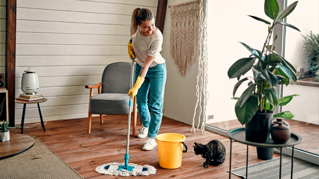 What Are Residential Cleaning Services in the United States?